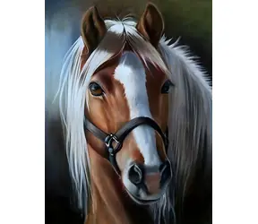 NORIMPEX Diamantové malování Portrét koně (1009222) / 30x40 cm