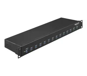 Delock 19" průmyslový USB hub 13x USB-A černá / USB hub / USB 3.2 Gen 1 / 5000 Mbit/s / kov