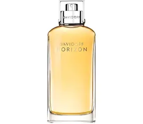 Davidoff Horizon / Pánská toaletní voda / EDT / 125 ml