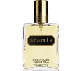 Aramis For Man / Pánská toaletní voda / EDT / 110 ml