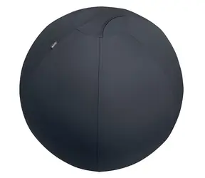 Leitz Ergo šedá / Gymnastický míč / O 75 cm / nosnost 150 kg