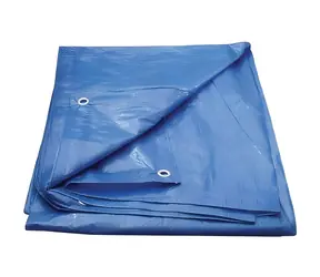 OEM Plachta s oky 5x6 m / Krycí plachta