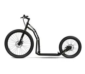 YEDOO Koloběžka RunRun ARNI Y40 černá / 26"/20" kola
