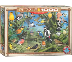 EUROGRAPHICS Puzzle Ptáci v zahradě / 1000 dílků / 67,63 × 48,89 cm