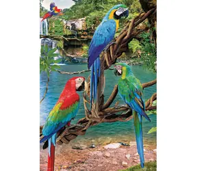 EUROGRAPHICS Puzzle Save Our Planet: Papoušci Ara XL / 250 dílků / extra velké dílky / 33 x 48,3 cm