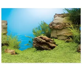 Juwel Pozadí 150 x 60 cm / Akvarijní pozadí / Oboustranné / XL
