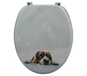 MSV DOGGY WC prkénko s motivem / MDF