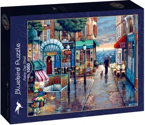 BLUEBIRD Puzzle Procházka v deštivém dni / 1000 dílků / 69 x 47,8 cm