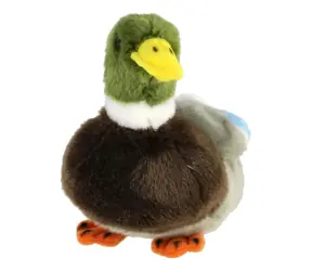 TEDDIES Plyšový kačer divoká kachna 18 cm / Plněný kuličkami / od 0 měsíců