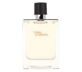 Hermes Terre d'Hermes Toaletní voda 100 ml