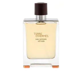 Hermes Terre d'Hermes Eau Intense Vétiver Parfémovaná voda 100 ml