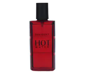 Davidoff Hot Water Toaletní voda 60 ml