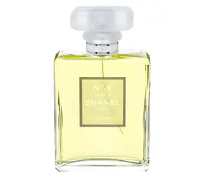 Chanel No. 19 Poudre Parfémovaná voda 100 ml