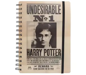 Zápisník Harry Potter Sirius & Harry 3D / Zápisník / 3D provedení