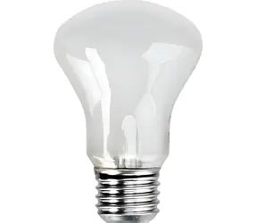 Elinchrom Žárovka pro studiová světla E27 / Žárovka / 100 W / 196 V