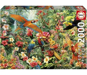 EDUCA Puzzle Ptáci Amazonie / 2000 dílků / rozměr 96 × 68 cm