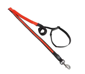 Dog Fantasy Vodítko USB LED nylonové běžecké oranžová 2.5x180-250 cm