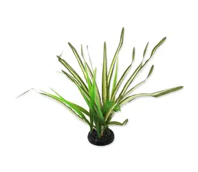 Repti Planet Rostlina travina Spartina 30cm