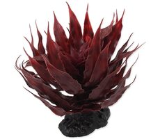 Repti Planet Rostlina sukulent Agave červená 18cm