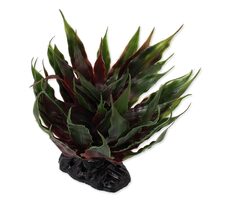 Repti Planet Rostlina sukulent Agave zelená 18cm