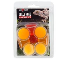 Repti Planet Krmivo Jelly Pots Fruit 8ks