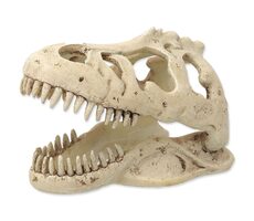Repti Planet Dekorace T-REX lebka 13.3x8.5x9cm