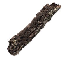 Repti Planet Korková kůra XL 90cm-120cm