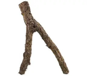 Repti Planet Korková větev M 30-60 cm