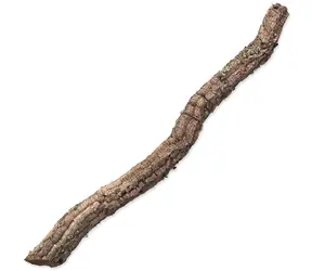 Repti Planet Korková větev XL 90cm-120cm