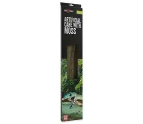Repti Planet Dekorace liána s mechem šířka 1cm délka 200cm