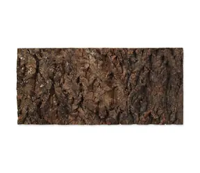 Repti Planet Pozadí korek přírodní 48.8x22.7x2cm