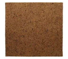 Repti Planet Pozadí Coco Pad 50x50cm