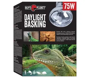 Repti Planet žárovka Daylight Basking Spot 75W 