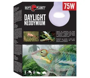 Repti Planet žárovka Daylight Neodymium 75W