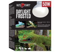 Repti Planet žárovka Daylight Frosted 50W