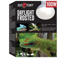 Repti Planet žárovka Daylight Frosted 100W