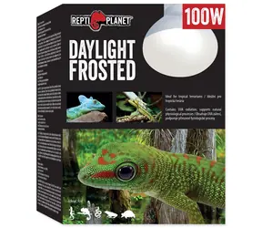 Repti Planet žárovka Daylight Frosted 100W