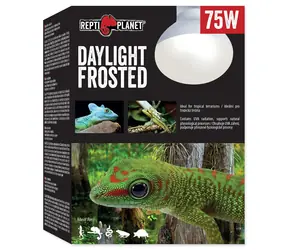 Repti Planet žárovka Daylight Frosted 75W