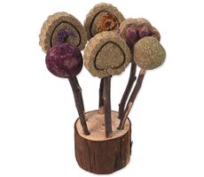 Small Animals lízátka okusovací 17cm