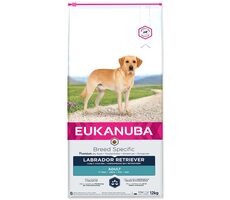 Eukanuba Labrador Retriever 12kg / granule pro psy / pro Labradorské retrívry 