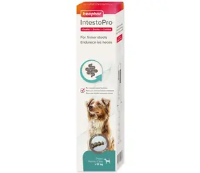 Beaphar Pasta IntestoPro L pro velké psy 2x 20ml