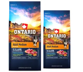 Ontario Adult Medium Lamb & Brown Rice 2x12kg + Barel ZDARMA / Granule pro dospělé psy 
