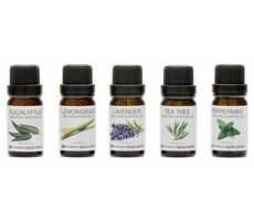 RIO 100% Pure essential oil collection / Aroma oleje / 5x 10ml / eukalyptus / citronová tráva / máta / tee-tree / levand
