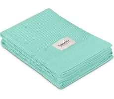 LIONELO Bambusová deka Green Mint
