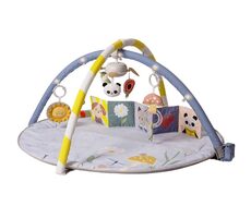 Taf Toys Hrací deka s hrazdou Bloom