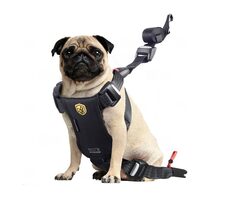 BabyAutoPets TRAVEL FIX systém S BLACK