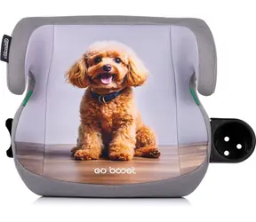 CHIPOLINO Podsedák Go Boost i-Size 125-150 cm Poodle