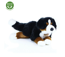 RAPPA Plyšový bernský salašnický pes ležící 44 cm / ECO-FRIENDLY / od 0 měsíců