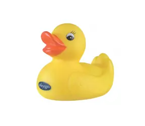 Playgro - Kačenka do vany / od 6 měsíců