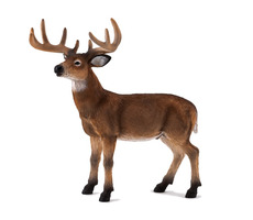 Mojo Animal Planet Jelen běloocasý / od 3 let
